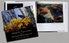 Artists for Conservation-exhibit book published by Rick Wheeler